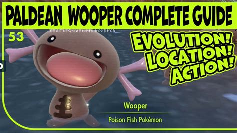 Paldean Wooper Evolution: How to Get and Evolve。